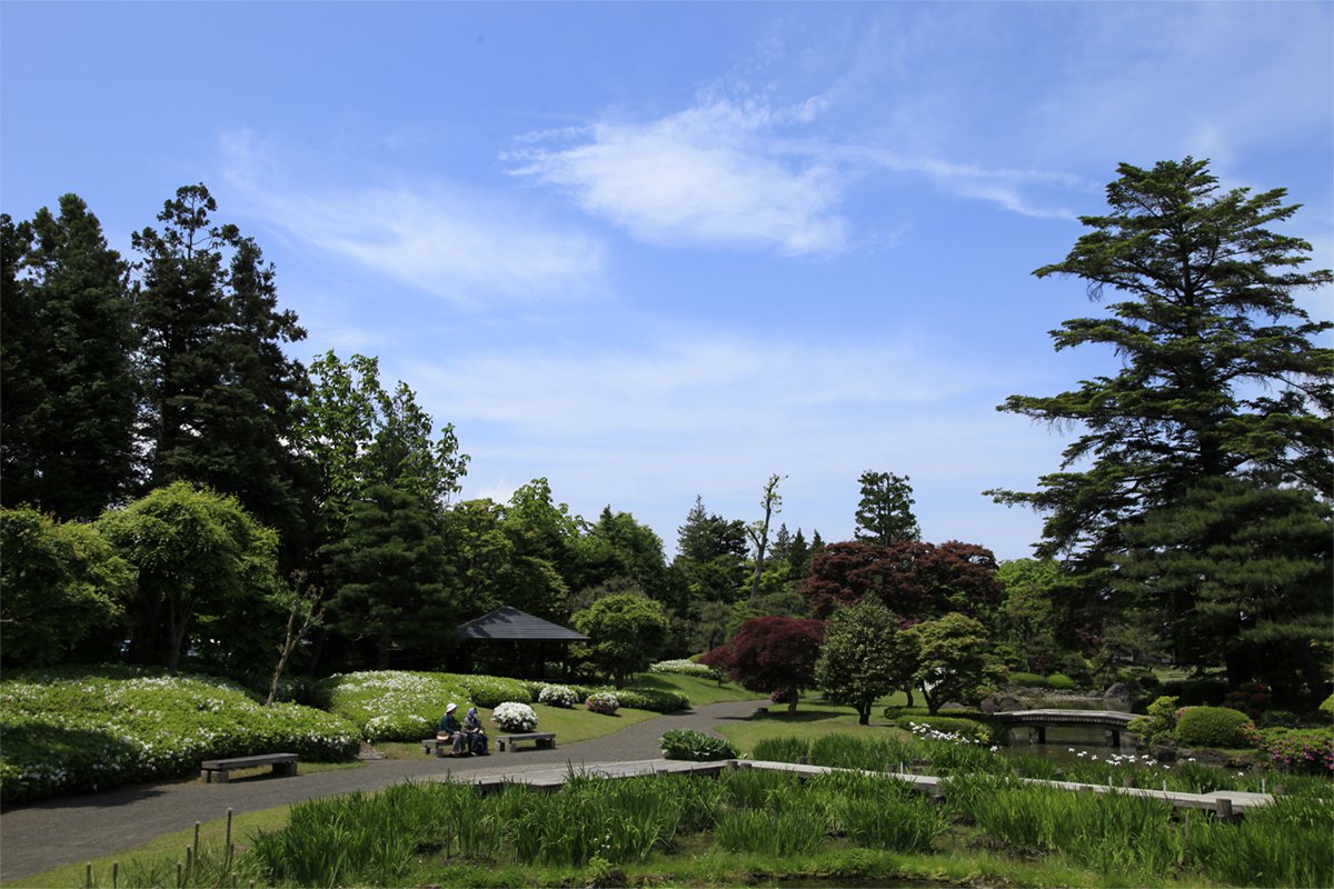 藤田記念庭園 低地部庭園
